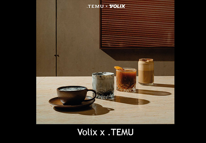 Volix x .TEMU
